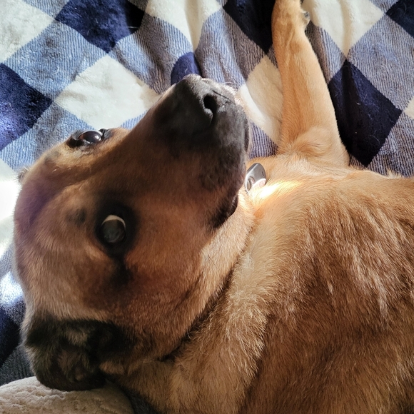 PLSreadBEFOREbuying! - Picture 4 of 13